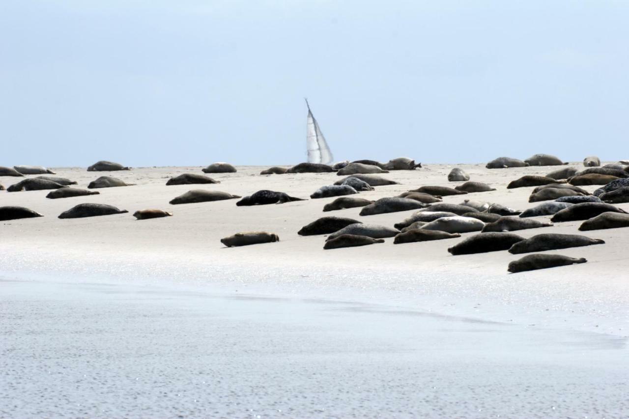 Borkumunterkunft - Woh3 - Im Herzen Der Insel Екстер'єр фото
